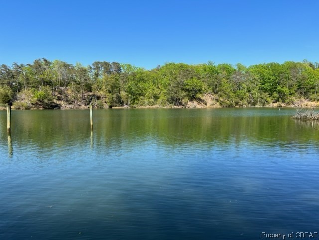 345 Horn Harbor Road Burgess, VA 22432 - Photo 3 of 25