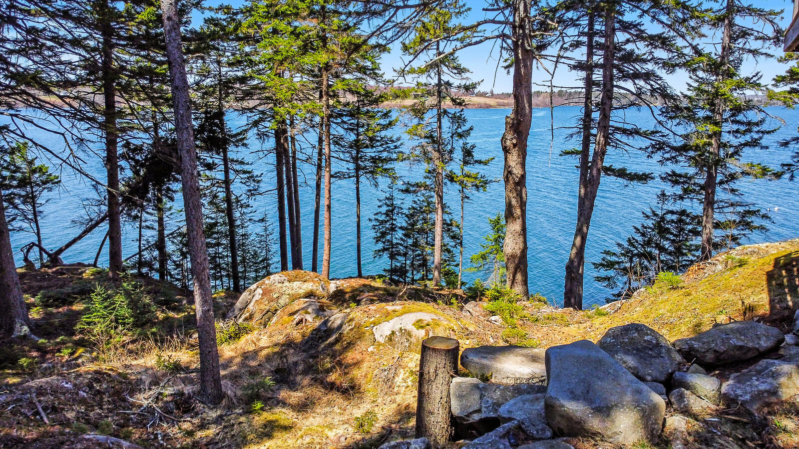 231 Otis Point Road Tenants Harbor, ME 04860 - Photo 2 of 47 231 Otis- Water View