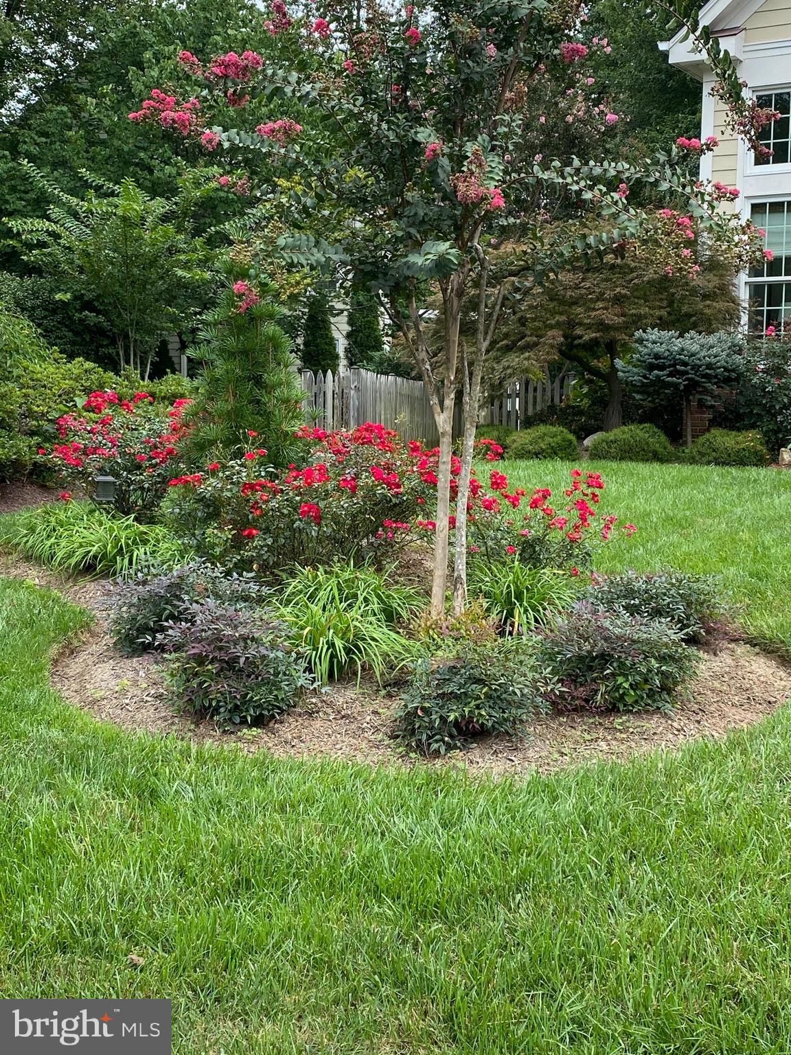 1203 Night Star Court Reston, VA 20194 - Photo 36 of 39 Maticulous landscaped Front Yard