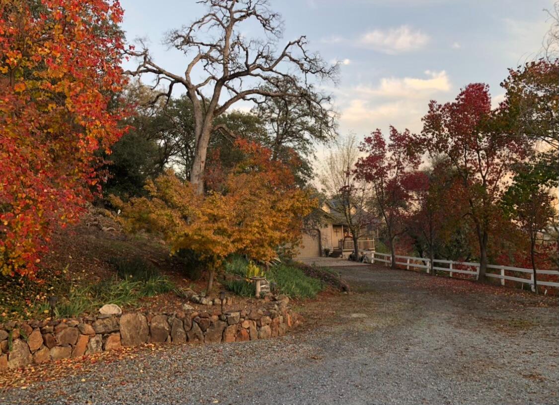 9290 Cramer Road Auburn, CA 95602 - Photo 54 of 66 Beautiful Fall foliage