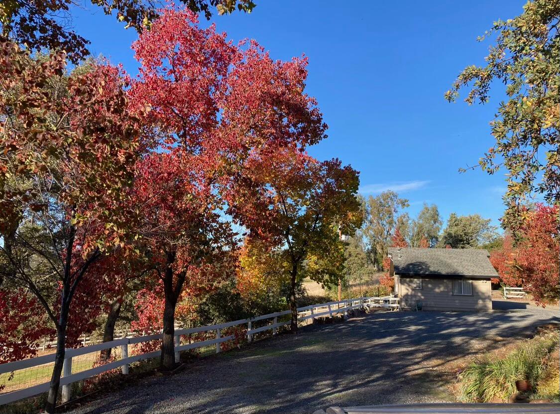 9290 Cramer Road Auburn, CA 95602 - Photo 55 of 66