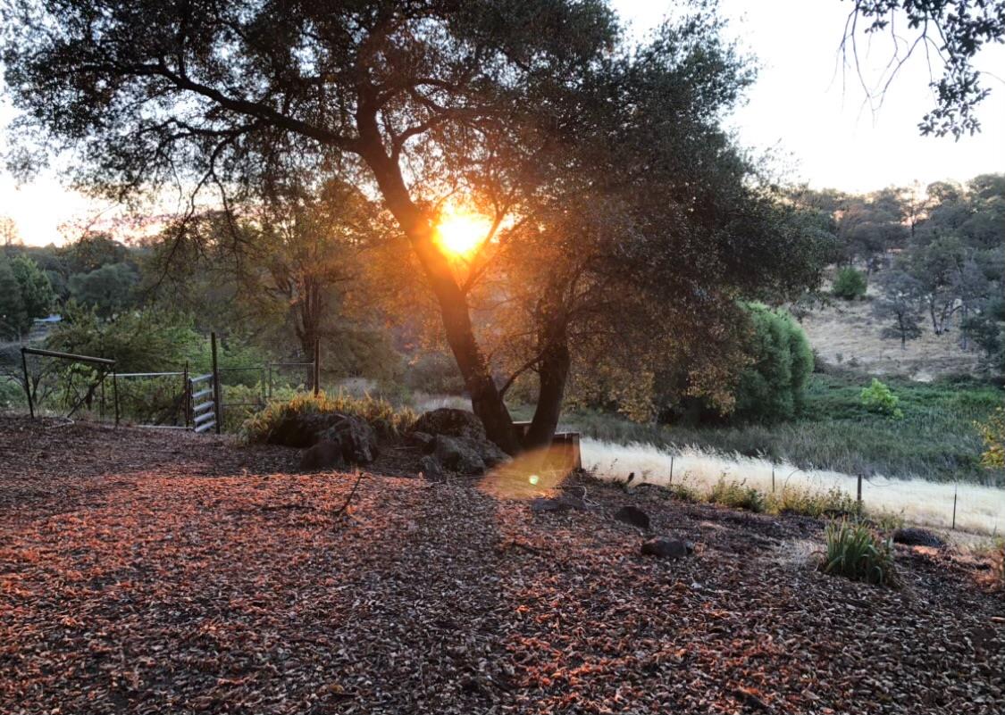 9290 Cramer Road Auburn, CA 95602 - Photo 56 of 66