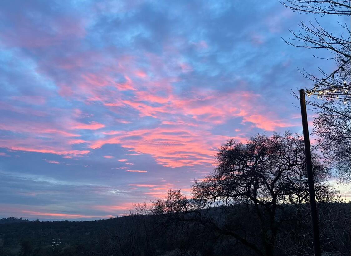 9290 Cramer Road Auburn, CA 95602 - Photo 57 of 66