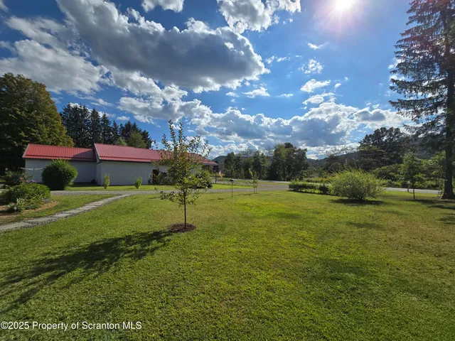 a view of a park with large trees