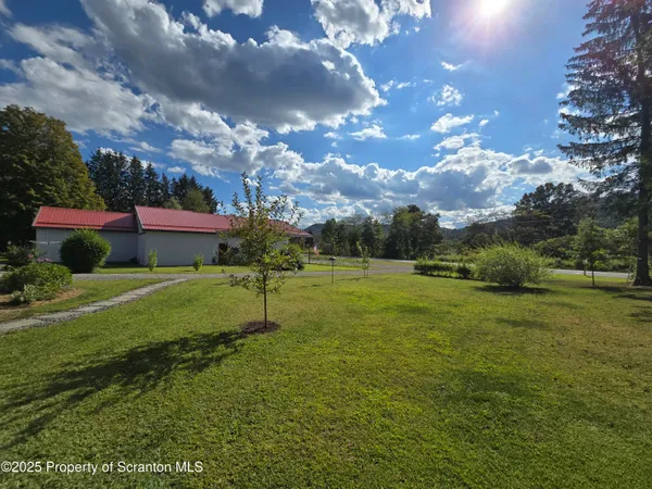 a view of a park with large trees