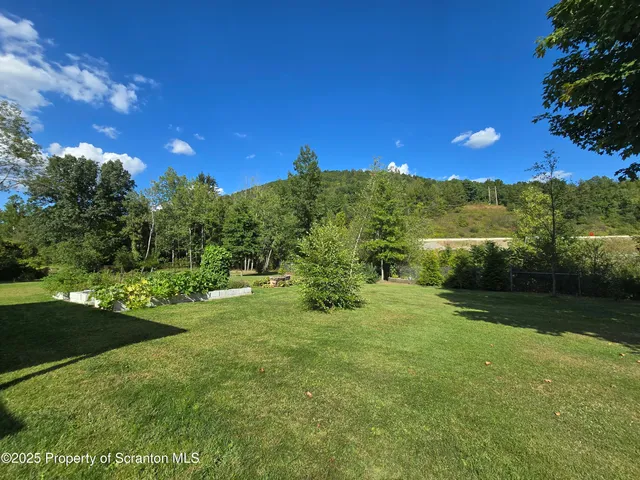 a view of a yard with a tree