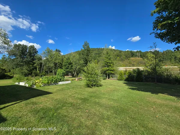 a view of a yard with a tree