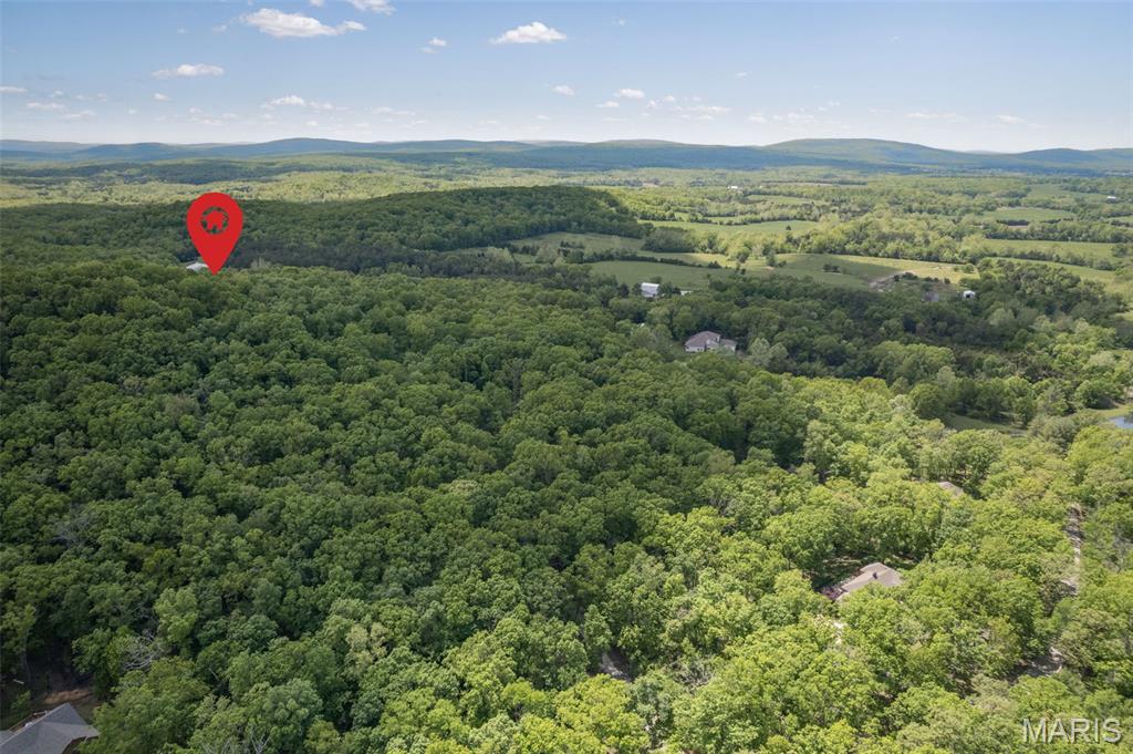 107 Wildhorse Road Farmington, MO 63640 - Photo 16 of 99