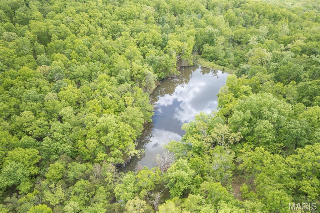 107 Wildhorse Road Farmington, MO 63640 - Photo 18 of 99