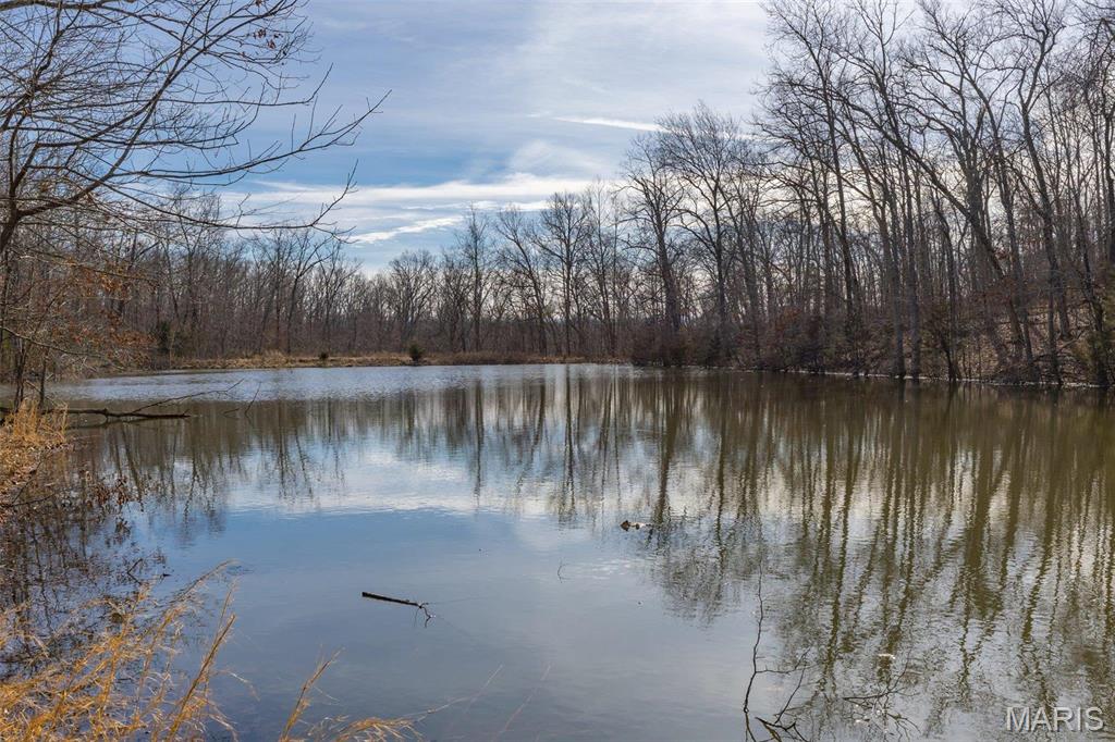 107 Wildhorse Road Farmington, MO 63640 - Photo 66 of 99