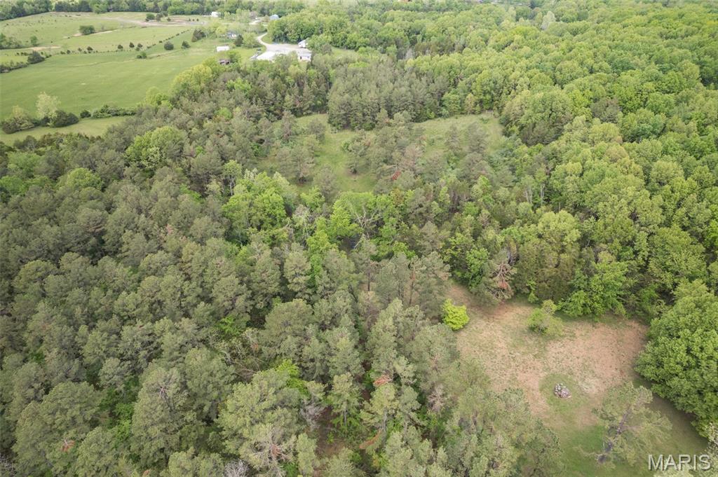 107 Wildhorse Road Farmington, MO 63640 - Photo 74 of 99