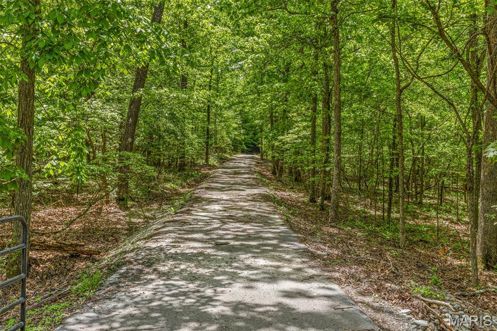 107 Wildhorse Road Farmington, MO 63640 - Photo 8 of 99