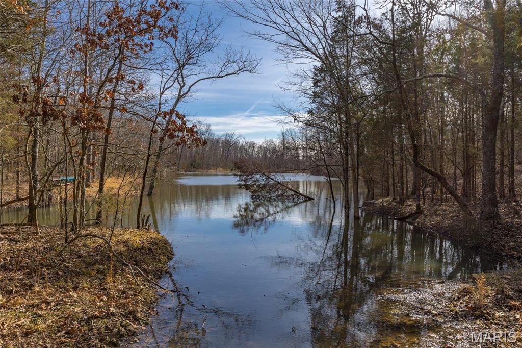 107 Wildhorse Road Farmington, MO 63640 - Photo 96 of 99