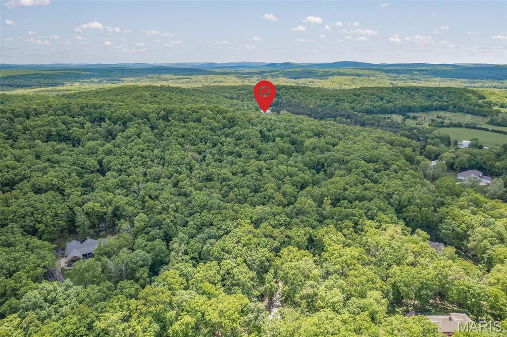 107 Wildhorse Road Farmington, MO 63640 - Photo 98 of 99