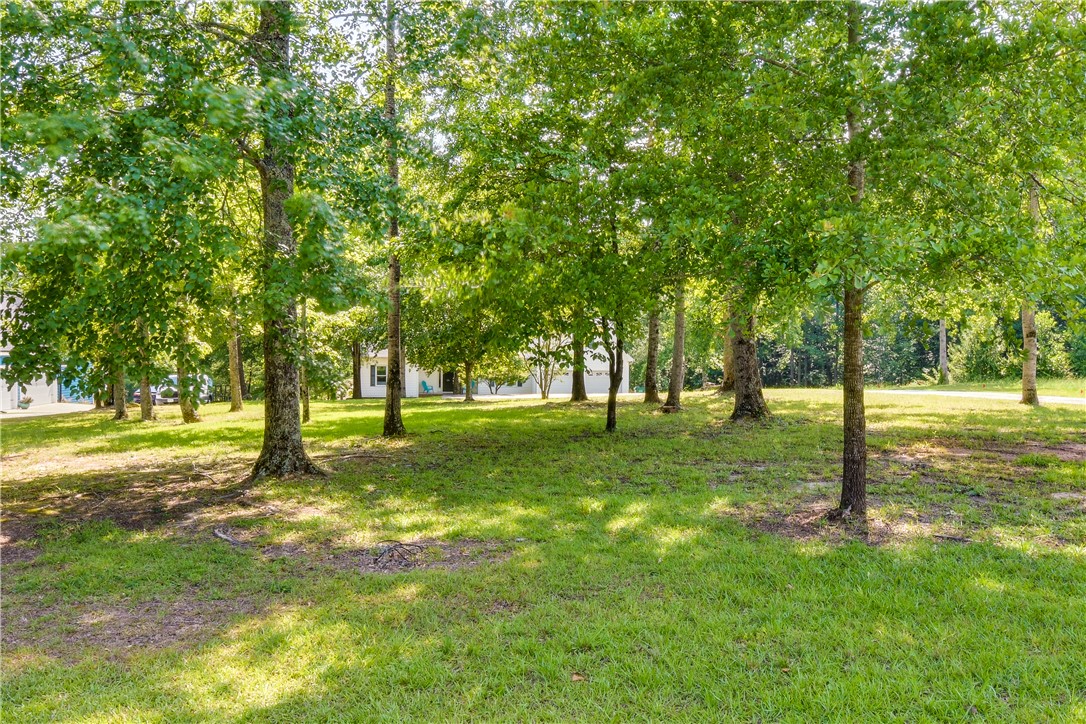 206 Petty Road Seneca, SC 29672 - Photo 45 of 48 A verdant, tree-lined yard provides a private, secluded setting for this property.