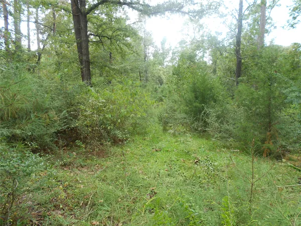$39,000 | 957 Farm To Market Road 356, Onalaska, TX 77360