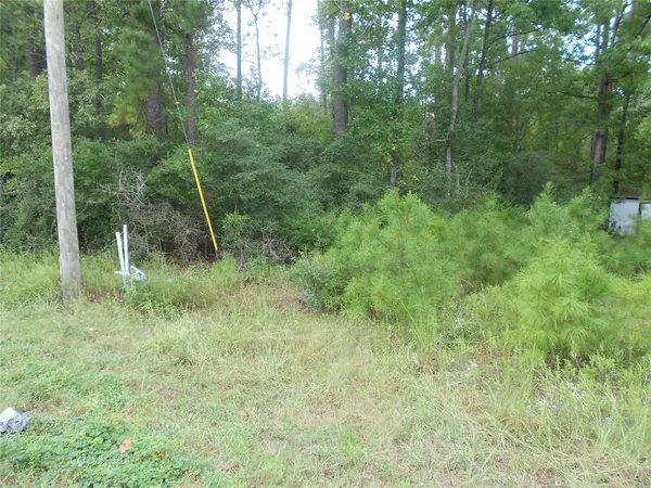 $39,000 | 957 Farm To Market Road 356, Onalaska, TX 77360