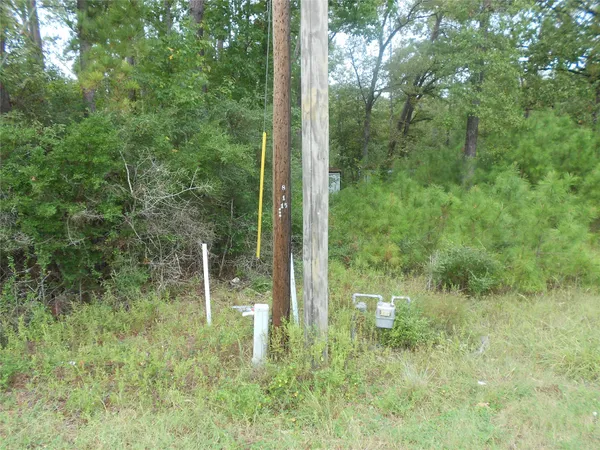 $39,000 | 957 Farm To Market Road 356, Onalaska, TX 77360