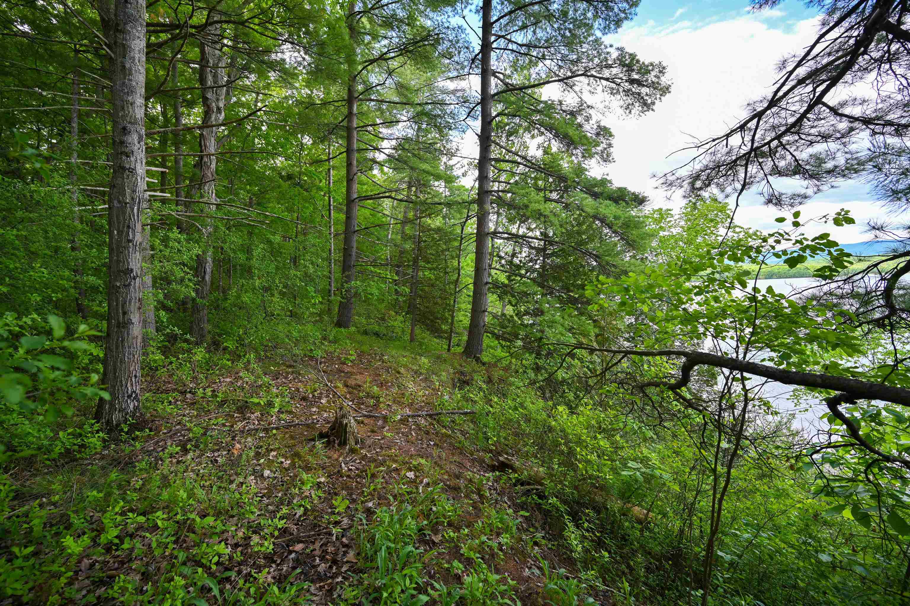 185 Holmes Lane Shoreham, VT 05770 - Photo 24 of 25