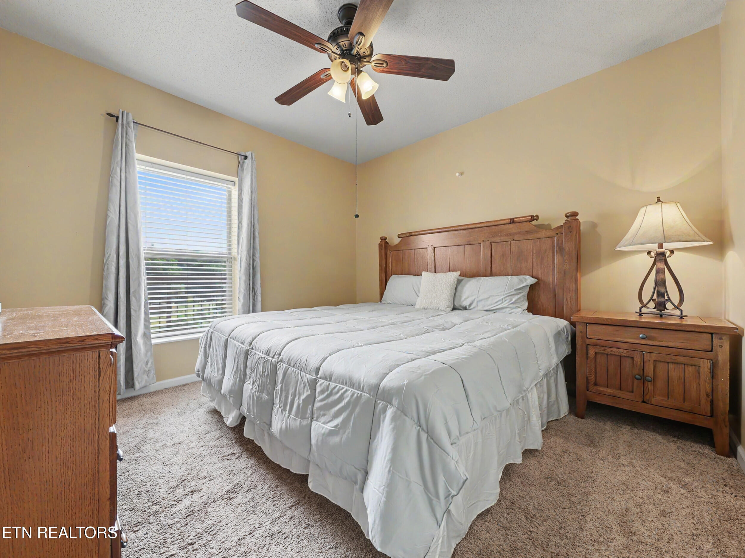 3919 South River Road, Unit 305 Pigeon Forge, TN 37863 - Photo 21 of 47 22_img_5127