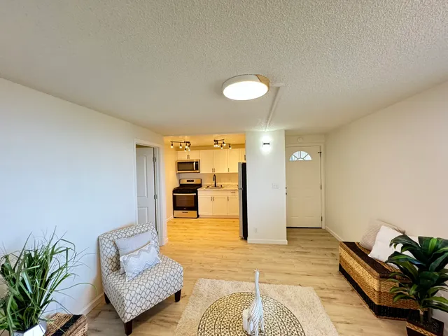 a living room with furniture and potted plants