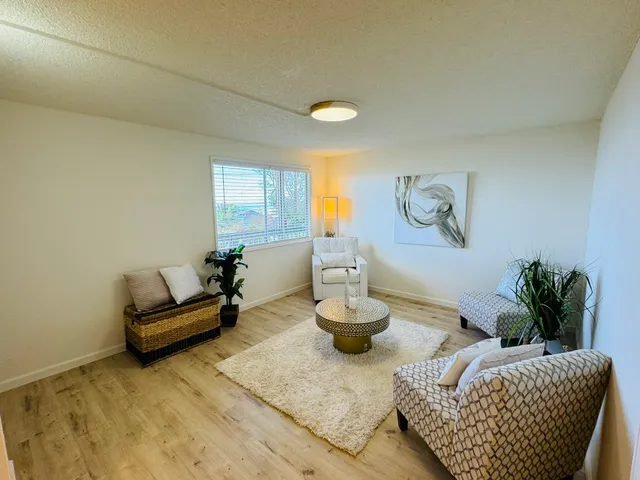 a living room with furniture and a potted plant