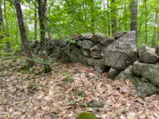 0 Cramm Road Parsonsfield, ME 04047 - Photo 9 of 17 IMG950374