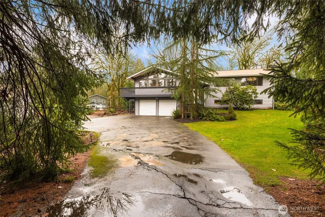 a view of a yard with plants and trees
