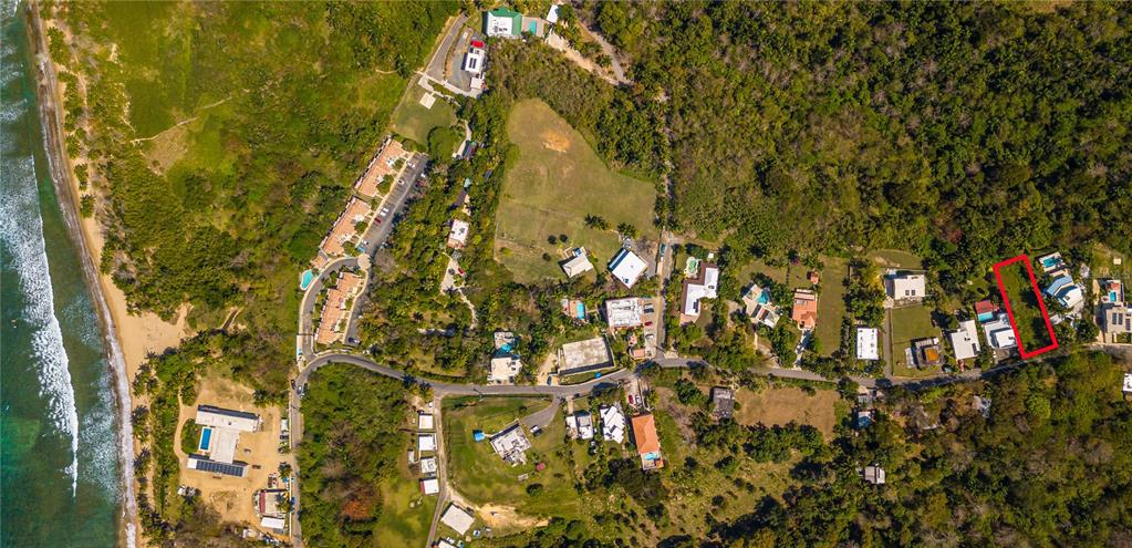 C. Miramar Rincon, Rincón 00677 - Photo 3 of 10 a picture of a tree