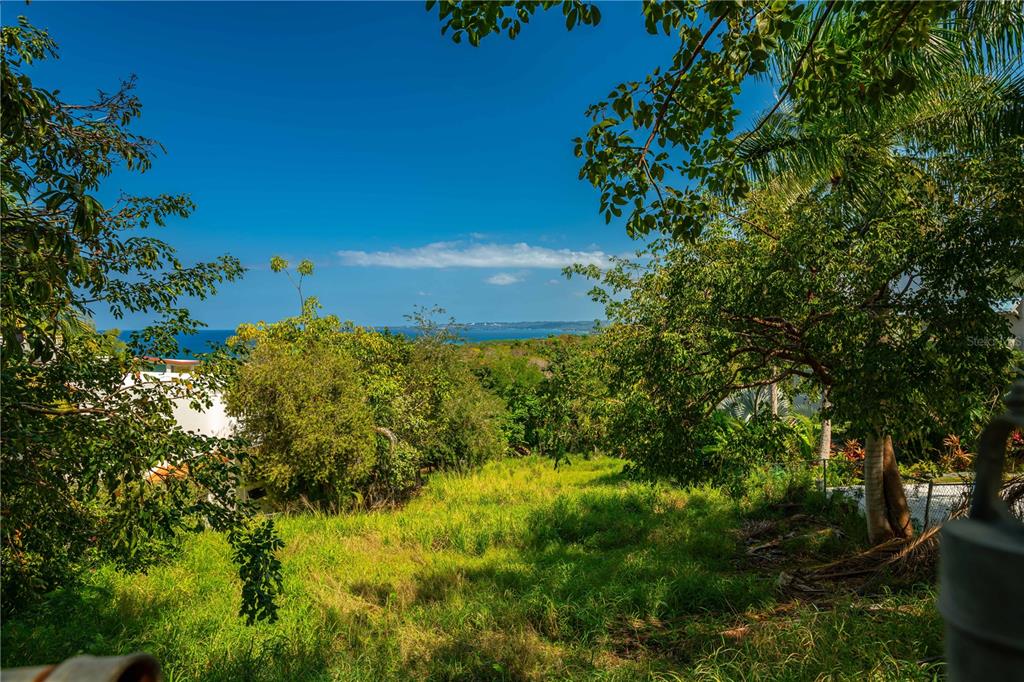 C. Miramar Rincon, Rincón 00677 - Photo 7 of 10 a view of a garden