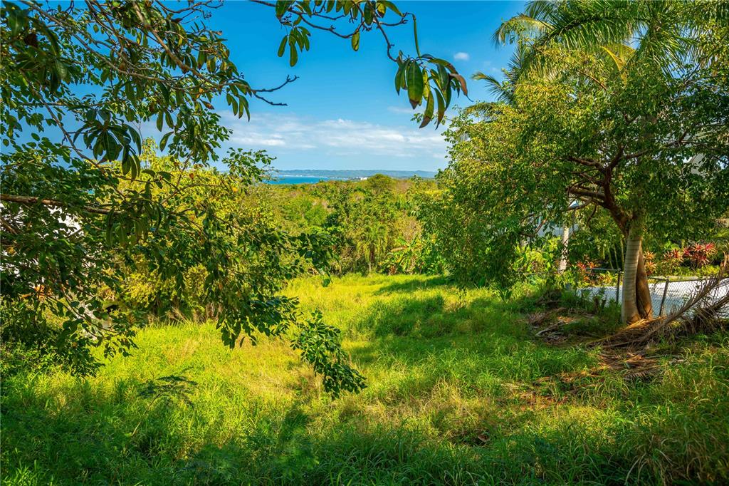 C. Miramar Rincon, Rincón 00677 - Photo 8 of 10 a view of a yard