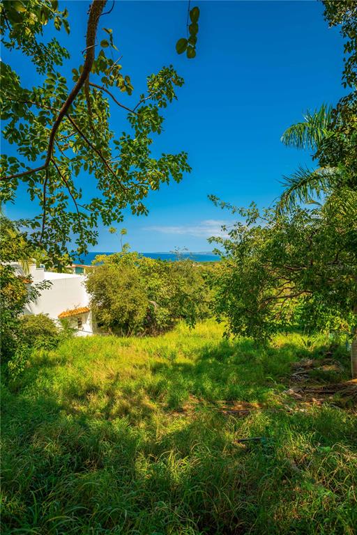 C. Miramar Rincon, Rincón 00677 - Photo 9 of 10 a view of a garden