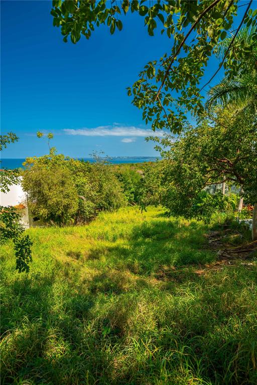 C. Miramar Rincon, Rincón 00677 - Photo 10 of 10 a view of a green yard