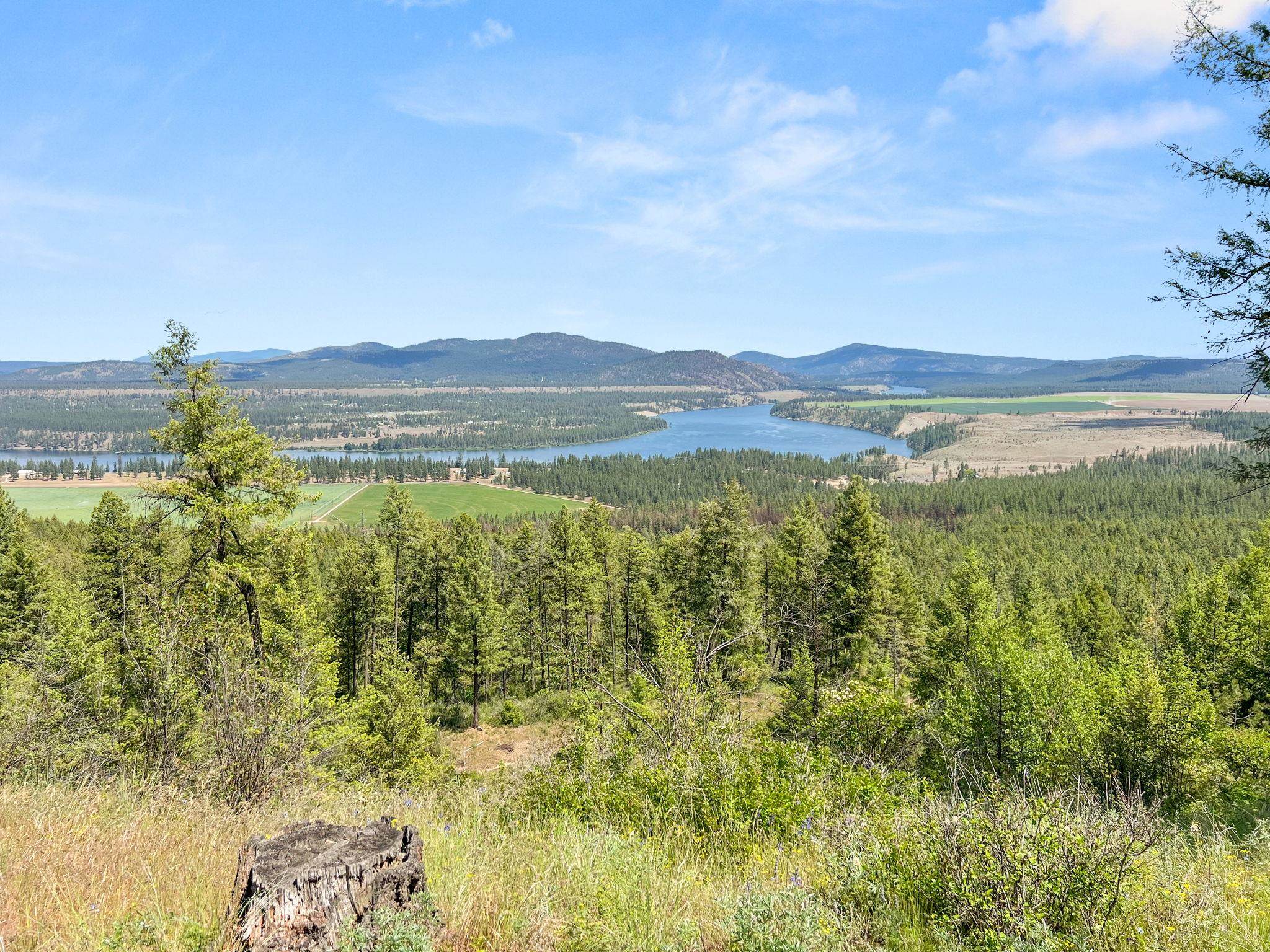 0 West Highland Road Ford, WA 99013 - Photo 2 of 41