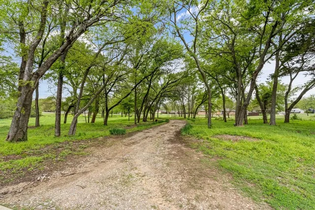 a view of outdoor space with trees