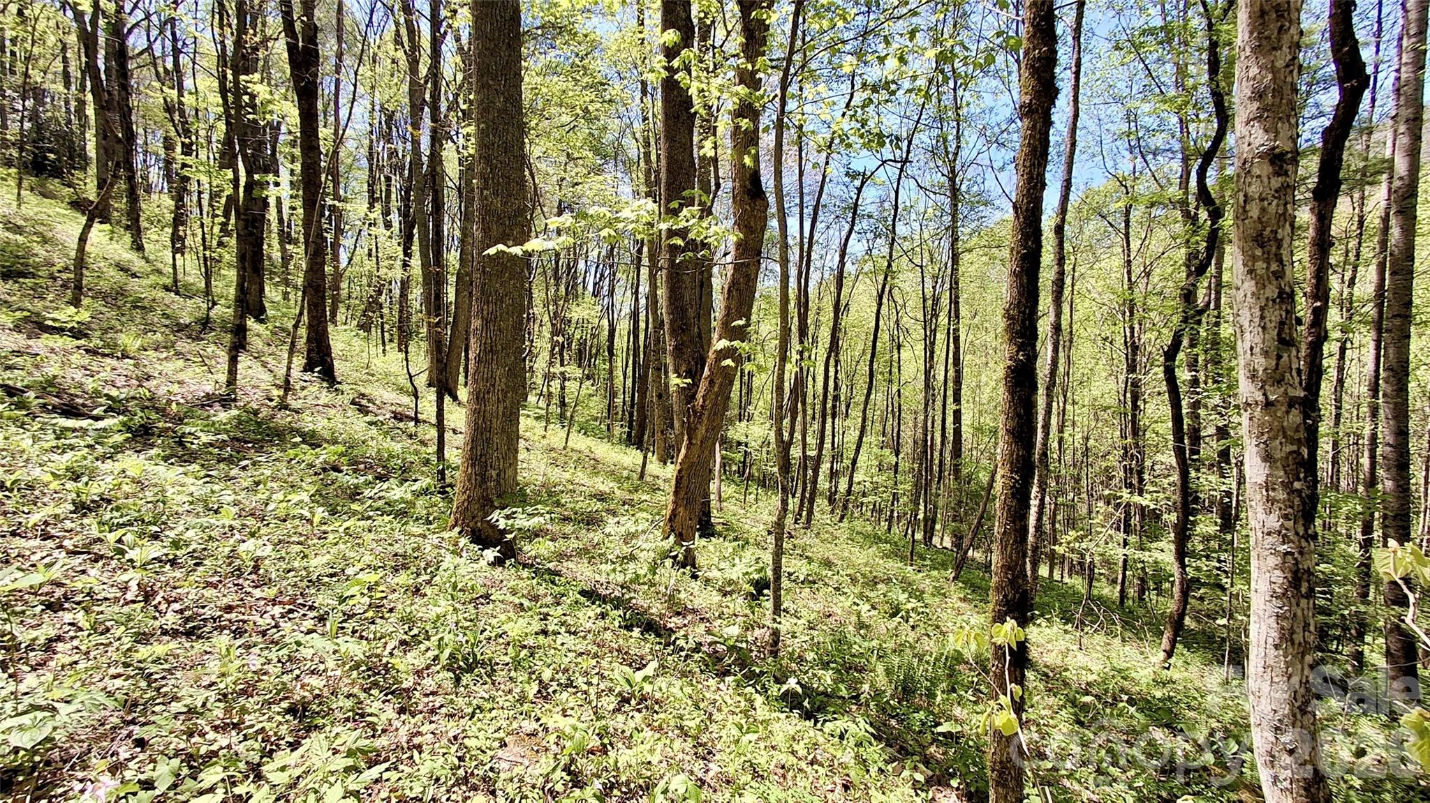 0 Cold Mountain Road Highlands, NC 28741 - Photo 41 of 46 a view of outdoor space and garden