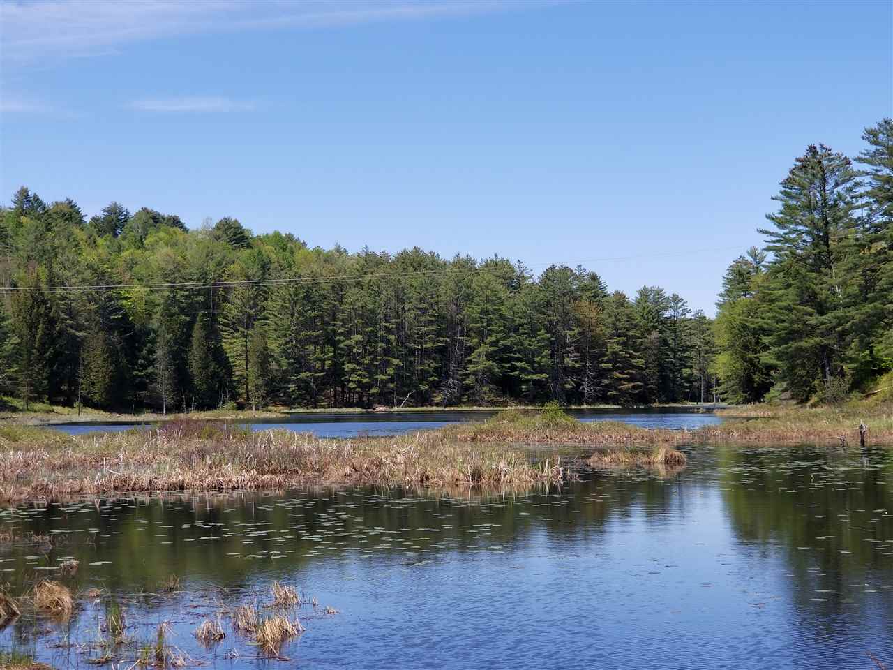 Symes Pond Road East Ryegate, VT 05042 - Photo 1 of 8 Gallery Image 1