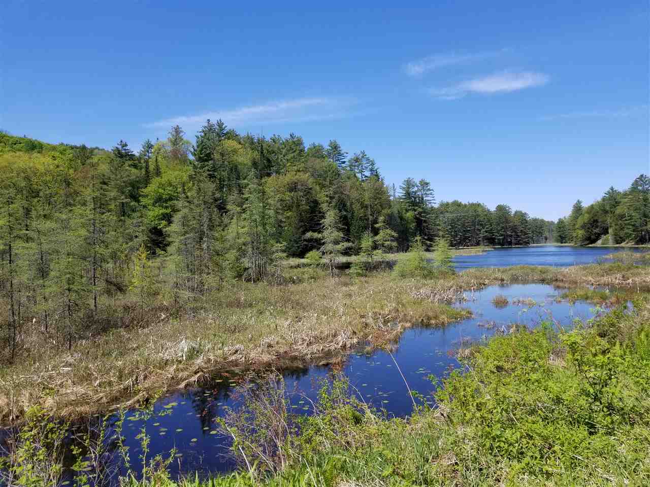 Symes Pond Road East Ryegate, VT 05042 - Photo 2 of 8 Gallery Image 2