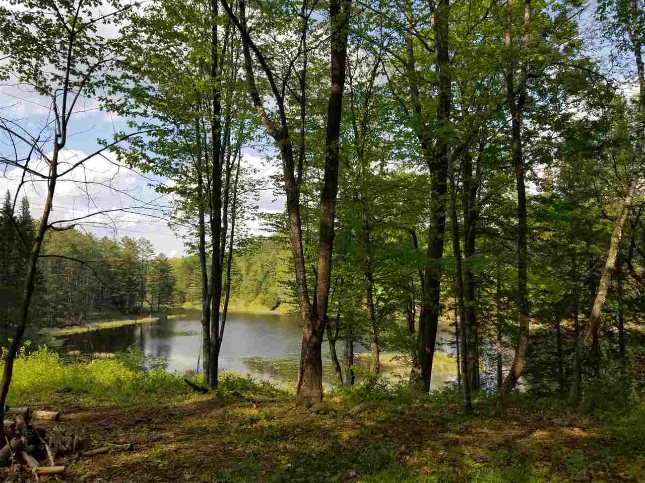 Symes Pond Road East Ryegate, VT 05042 - Photo 4 of 8 Gallery Image 4