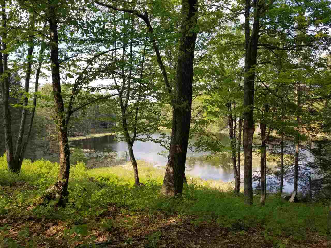 Symes Pond Road East Ryegate, VT 05042 - Photo 5 of 8 Gallery Image 5