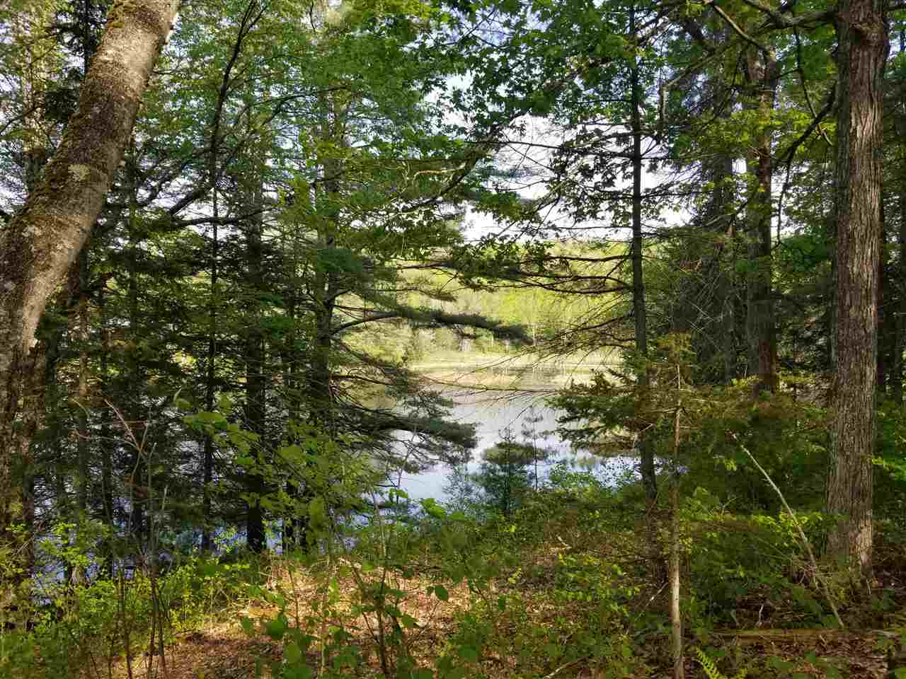 Symes Pond Road East Ryegate, VT 05042 - Photo 6 of 8 Gallery Image 6