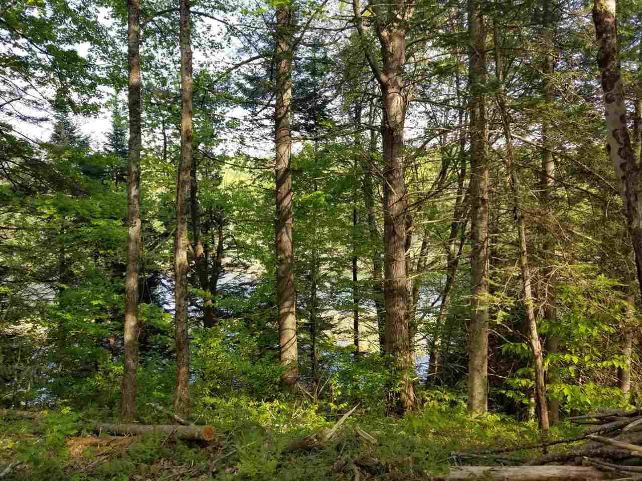 Symes Pond Road East Ryegate, VT 05042 - Photo 8 of 8 Gallery Image 8
