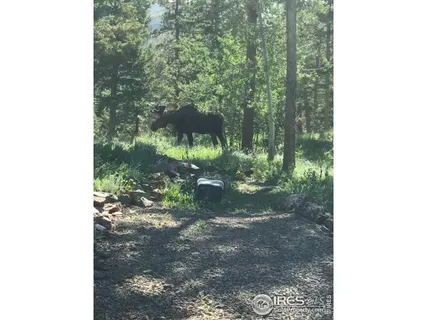 a view of a cafe with sitting area