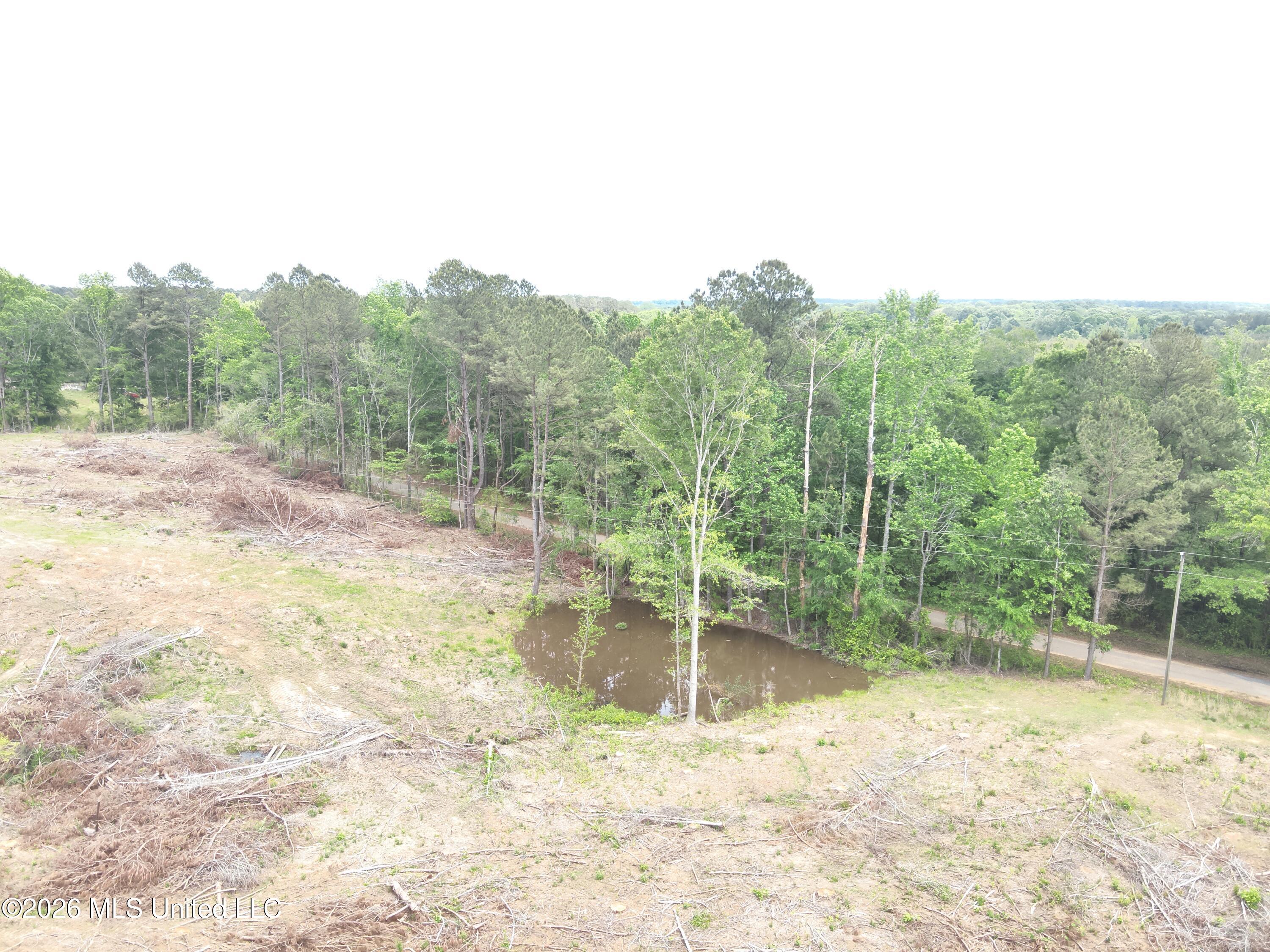559 Smith County Road Pulaski, MS 39152 - Photo 7 of 32 DJI_20260427132058_0027_V