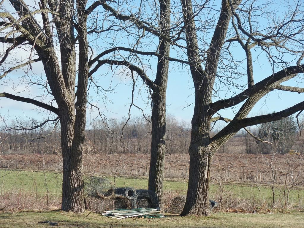 A Tichenor Road Hector, NY 14841 - Photo 1 of 1