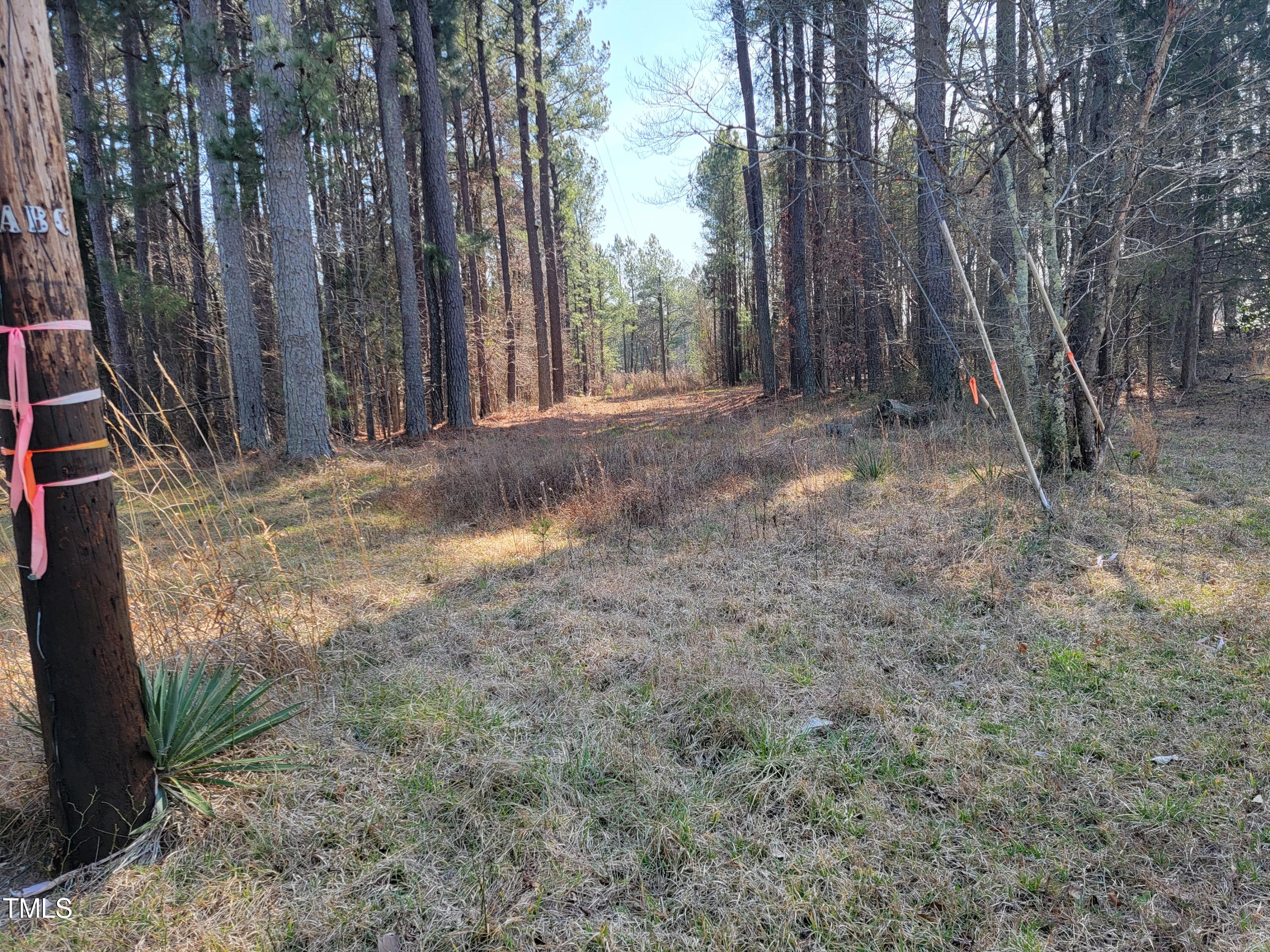 2506 Coley Road Durham, NC 27703 - Photo 11 of 20 a view of backyard with large trees and wooden fence