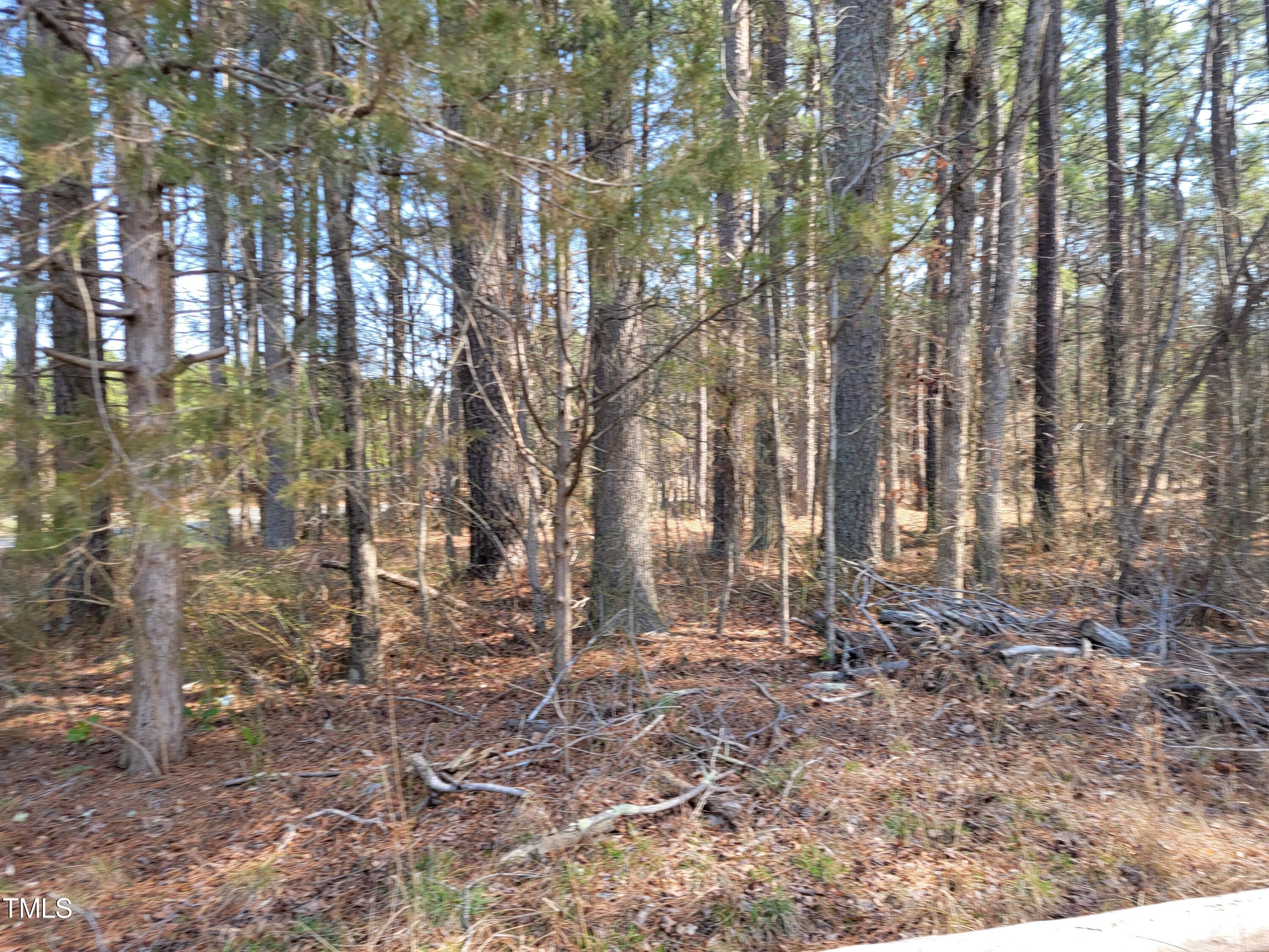 2506 Coley Road Durham, NC 27703 - Photo 12 of 20 a backyard of a house with lots of green space