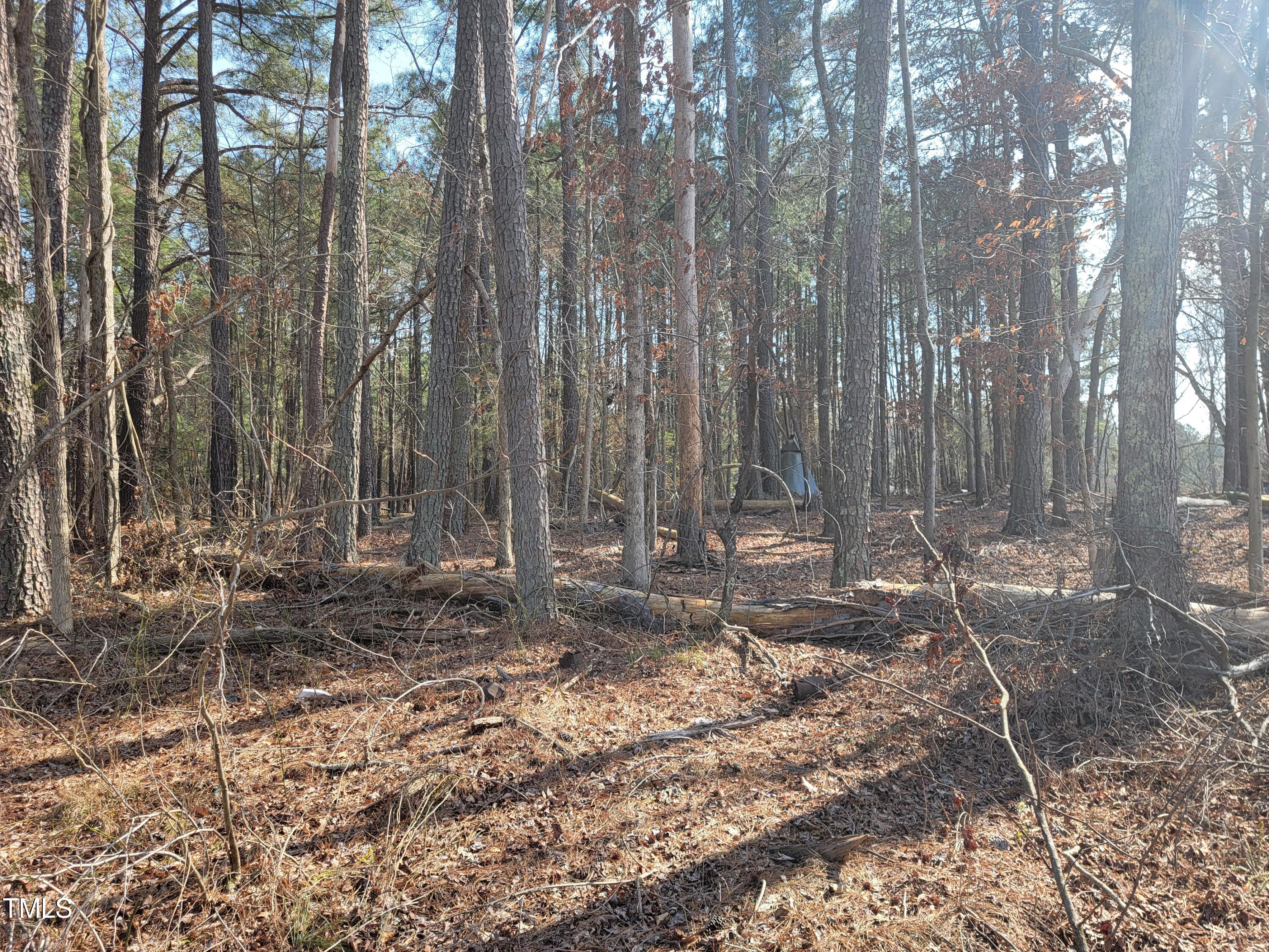 2506 Coley Road Durham, NC 27703 - Photo 13 of 20 a backyard of a house with lots of green space