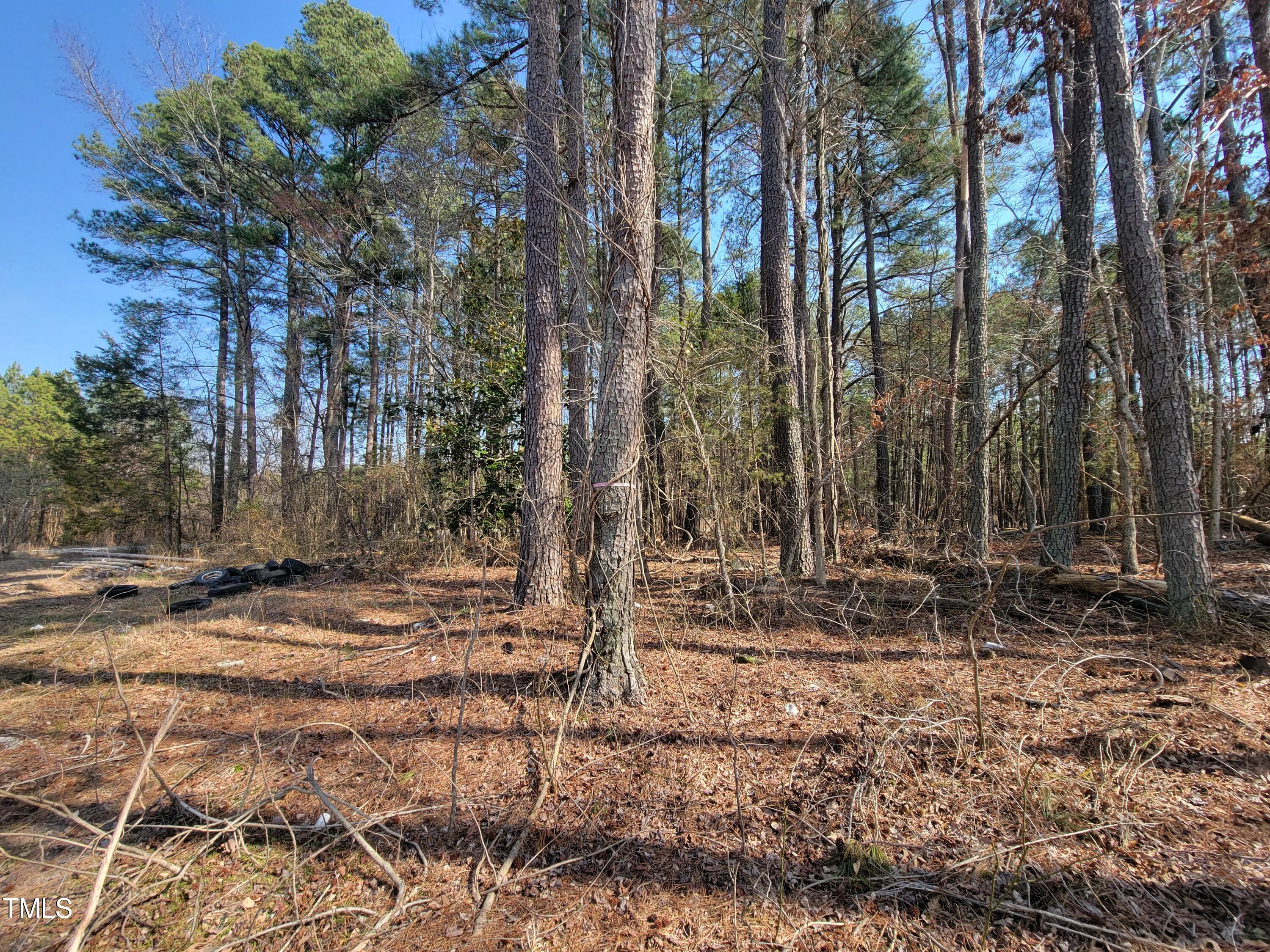 2506 Coley Road Durham, NC 27703 - Photo 14 of 20 a backyard of a house with lots of green space