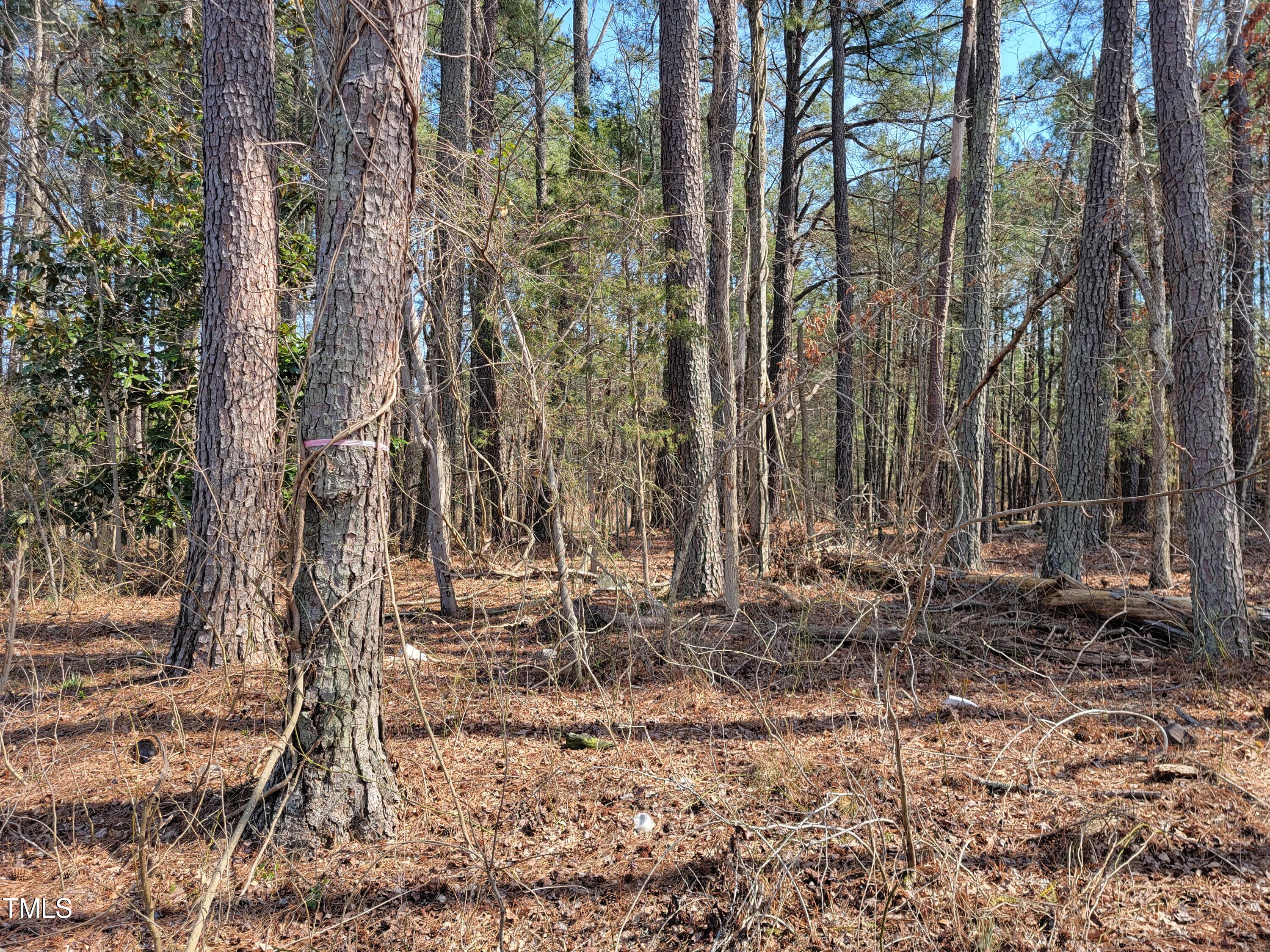2506 Coley Road Durham, NC 27703 - Photo 15 of 20 a backyard of a house with lots of green space